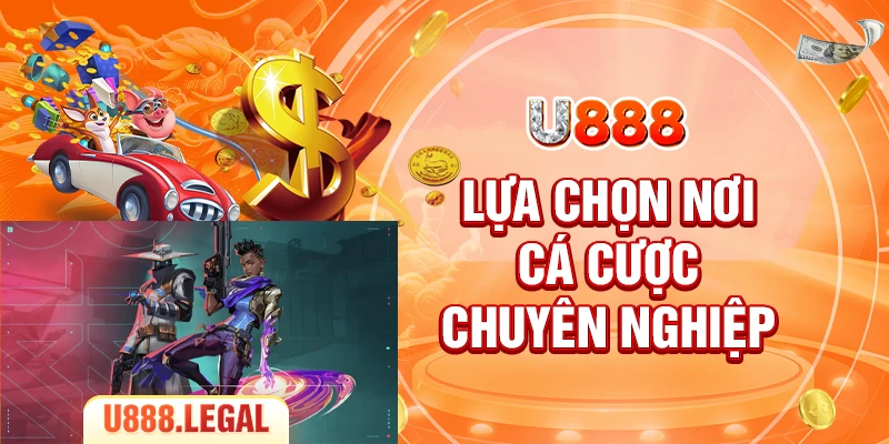 Lựa chọn nơi cá cược chuyên nghiệp