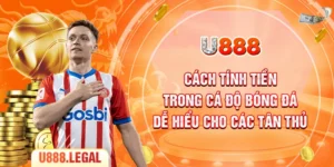 Cách Tính Tiền Trong Cá Độ Bóng Đá Dễ Hiểu Cho Các Tân Thủ